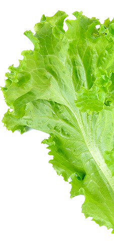 Taj Alsham Resturant